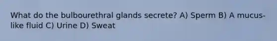 What do the bulbourethral glands secrete? A) Sperm B) A mucus-like fluid C) Urine D) Sweat