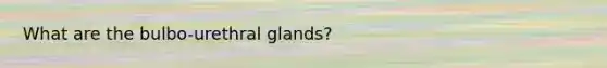 What are the bulbo-urethral glands?