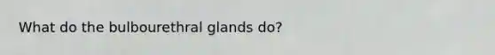 What do the bulbourethral glands do?