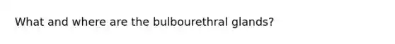 What and where are the bulbourethral glands?