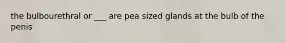 the bulbourethral or ___ are pea sized glands at the bulb of the penis