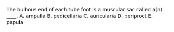 The bulbous end of each tube foot is a muscular sac called a(n) ____. A. ampulla B. pedicellaria C. auricularia D. periproct E. papula