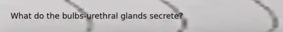 What do the bulbs-urethral glands secrete?