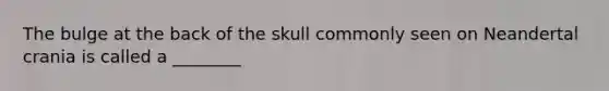 The bulge at the back of the skull commonly seen on Neandertal crania is called a ________