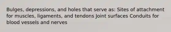 Bulges, depressions, and holes that serve as: Sites of attachment for muscles, ligaments, and tendons Joint surfaces Conduits for blood vessels and nerves