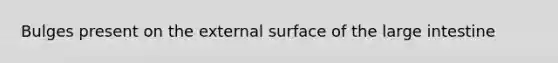 Bulges present on the external surface of the <a href='https://www.questionai.com/knowledge/kGQjby07OK-large-intestine' class='anchor-knowledge'>large intestine</a>