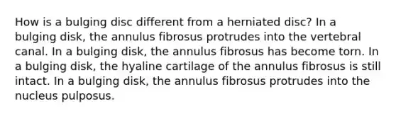 How is a bulging disc different from a herniated disc? In a bulging disk, the annulus fibrosus protrudes into the vertebral canal. In a bulging disk, the annulus fibrosus has become torn. In a bulging disk, the hyaline cartilage of the annulus fibrosus is still intact. In a bulging disk, the annulus fibrosus protrudes into the nucleus pulposus.