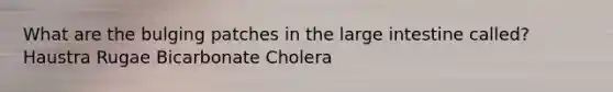 What are the bulging patches in the <a href='https://www.questionai.com/knowledge/kGQjby07OK-large-intestine' class='anchor-knowledge'>large intestine</a> called? Haustra Rugae Bicarbonate Cholera