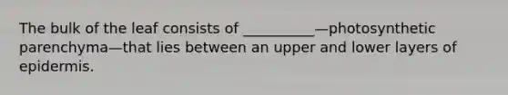 The bulk of the leaf consists of __________—photosynthetic parenchyma—that lies between an upper and lower layers of epidermis.