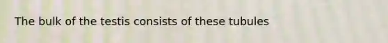 The bulk of the testis consists of these tubules