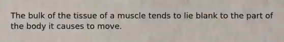 The bulk of the tissue of a muscle tends to lie blank to the part of the body it causes to move.