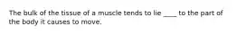 The bulk of the tissue of a muscle tends to lie ____ to the part of the body it causes to move.