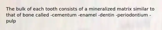 The bulk of each tooth consists of a mineralized matrix similar to that of bone called -cementum -enamel -dentin -periodontium -pulp