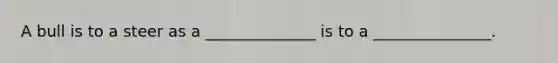 A bull is to a steer as a ______________ is to a _______________.