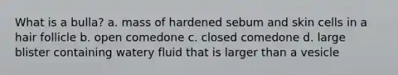 What is a bulla? a. mass of hardened sebum and skin cells in a hair follicle b. open comedone c. closed comedone d. large blister containing watery fluid that is larger than a vesicle