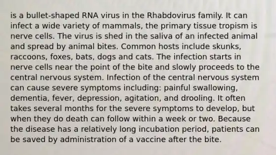 is a bullet-shaped RNA virus in the Rhabdovirus family. It can infect a wide variety of mammals, the primary tissue tropism is nerve cells. The virus is shed in the saliva of an infected animal and spread by animal bites. Common hosts include skunks, raccoons, foxes, bats, dogs and cats. The infection starts in nerve cells near the point of the bite and slowly proceeds to the central <a href='https://www.questionai.com/knowledge/kThdVqrsqy-nervous-system' class='anchor-knowledge'>nervous system</a>. Infection of the central nervous system can cause severe symptoms including: painful swallowing, dementia, fever, depression, agitation, and drooling. It often takes several months for the severe symptoms to develop, but when they do death can follow within a week or two. Because the disease has a relatively long incubation period, patients can be saved by administration of a vaccine after the bite.