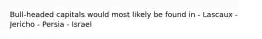 Bull-headed capitals would most likely be found in - Lascaux - Jericho - Persia - Israel