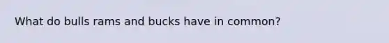 What do bulls rams and bucks have in common?
