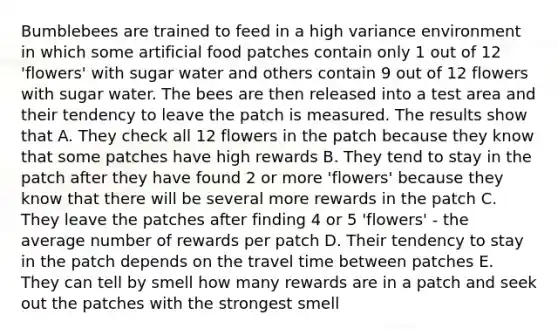 Bumblebees are trained to feed in a high variance environment in which some artificial food patches contain only 1 out of 12 'flowers' with sugar water and others contain 9 out of 12 flowers with sugar water. The bees are then released into a test area and their tendency to leave the patch is measured. The results show that A. They check all 12 flowers in the patch because they know that some patches have high rewards B. They tend to stay in the patch after they have found 2 or more 'flowers' because they know that there will be several more rewards in the patch C. They leave the patches after finding 4 or 5 'flowers' - the average number of rewards per patch D. Their tendency to stay in the patch depends on the travel time between patches E. They can tell by smell how many rewards are in a patch and seek out the patches with the strongest smell