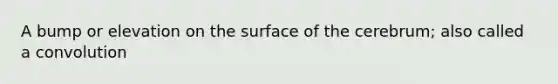 A bump or elevation on the surface of the cerebrum; also called a convolution