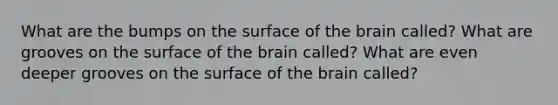 What are the bumps on the surface of the brain called? What are grooves on the surface of the brain called? What are even deeper grooves on the surface of the brain called?