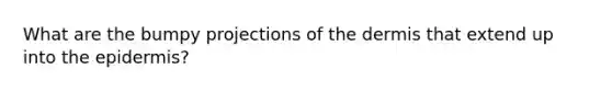 What are the bumpy projections of <a href='https://www.questionai.com/knowledge/kEsXbG6AwS-the-dermis' class='anchor-knowledge'>the dermis</a> that extend up into <a href='https://www.questionai.com/knowledge/kBFgQMpq6s-the-epidermis' class='anchor-knowledge'>the epidermis</a>?