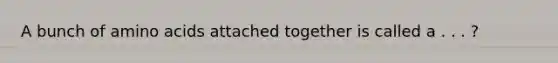 A bunch of amino acids attached together is called a . . . ?