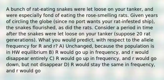 A bunch of rat-eating snakes were let loose on your tanker, and were especially fond of eating the rose-smelling rats. Given years of circling the globe (since no port wants your rat-infested ship), the snakes flourished, as did the rats. Consider a period in time after the snakes were let loose on your tanker (suppose 20 rat generations). What you would predict, with respect to the allele frequency for R and r? A) Unchanged, because the population is in HW equilibrium B) R would go up in frequency, and r would disappear entirely C) R would go up in frequency, and r would go down, but not disappear D) R would stay the same in frequency, and r would go