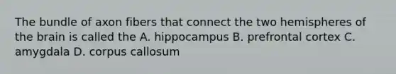 The bundle of axon fibers that connect the two hemispheres of the brain is called the A. hippocampus B. prefrontal cortex C. amygdala D. corpus callosum