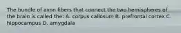 The bundle of axon fibers that connect the two hemispheres of the brain is called the: A. corpus callosum B. prefrontal cortex C. hippocampus D. amygdala