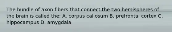 The bundle of axon fibers that connect the two hemispheres of the brain is called the: A. corpus callosum B. prefrontal cortex C. hippocampus D. amygdala