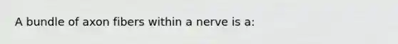 A bundle of axon fibers within a nerve is a: