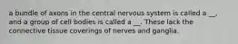 a bundle of axons in the central nervous system is called a __, and a group of cell bodies is called a __. These lack the connective tissue coverings of nerves and ganglia.