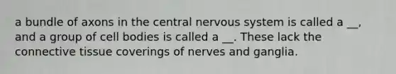 a bundle of axons in the central nervous system is called a __, and a group of cell bodies is called a __. These lack the connective tissue coverings of nerves and ganglia.