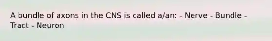 A bundle of axons in the CNS is called a/an: - Nerve - Bundle - Tract - Neuron
