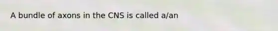 A bundle of axons in the CNS is called a/an