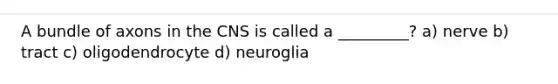 A bundle of axons in the CNS is called a _________? a) nerve b) tract c) oligodendrocyte d) neuroglia