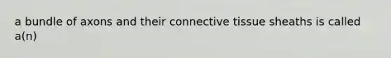 a bundle of axons and their connective tissue sheaths is called a(n)