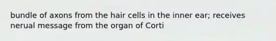 bundle of axons from the hair cells in the inner ear; receives nerual message from the organ of Corti