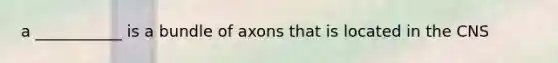 a ___________ is a bundle of axons that is located in the CNS