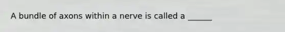 A bundle of axons within a nerve is called a ______