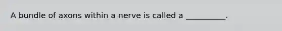 A bundle of axons within a nerve is called a __________.