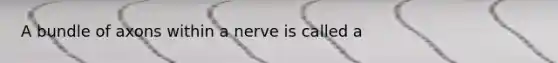 A bundle of axons within a nerve is called a