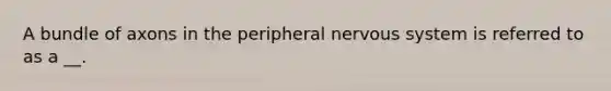 A bundle of axons in the peripheral nervous system is referred to as a __.