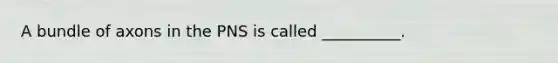 A bundle of axons in the PNS is called __________.