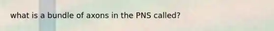 what is a bundle of axons in the PNS called?