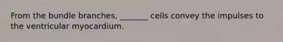 From the bundle branches, _______ cells convey the impulses to the ventricular myocardium.