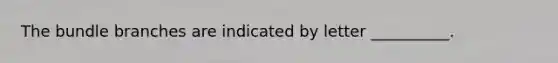 The bundle branches are indicated by letter __________.
