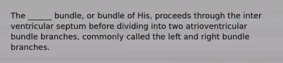 The ______ bundle, or bundle of His, proceeds through the inter ventricular septum before dividing into two atrioventricular bundle branches, commonly called the left and right bundle branches.