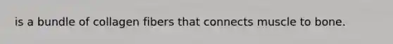 is a bundle of collagen fibers that connects muscle to bone.